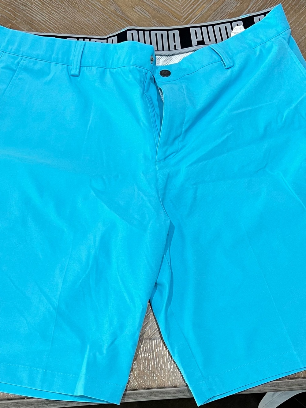 Puma Men’s Bright Aqua Flat Front Shorts
